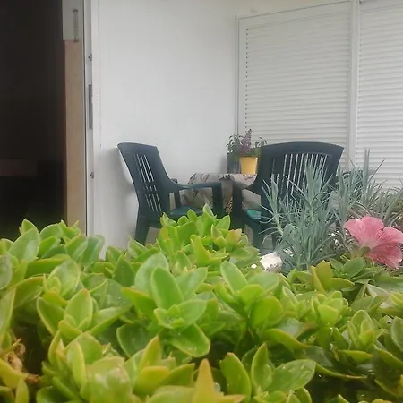 Tanja & Boris באסקה