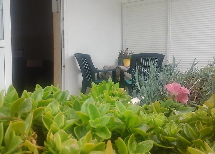 Tanja & Boris 바슈카