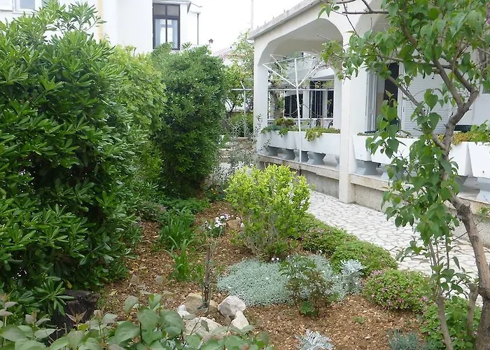 Tanja & Boris 바슈카